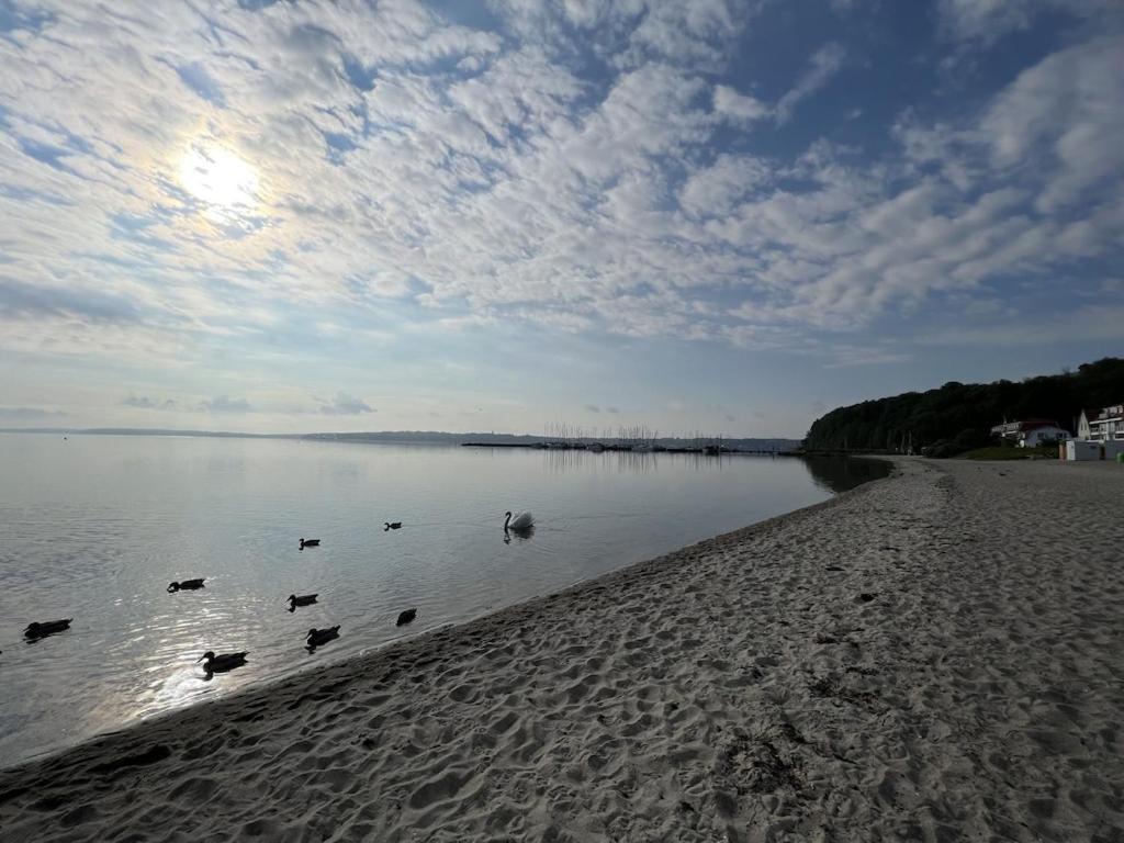 'Kapitaenslounge' Vollsanierte Fewo Mit Blick Auf Die Flensburger Foerde Harrislee Buitenkant foto