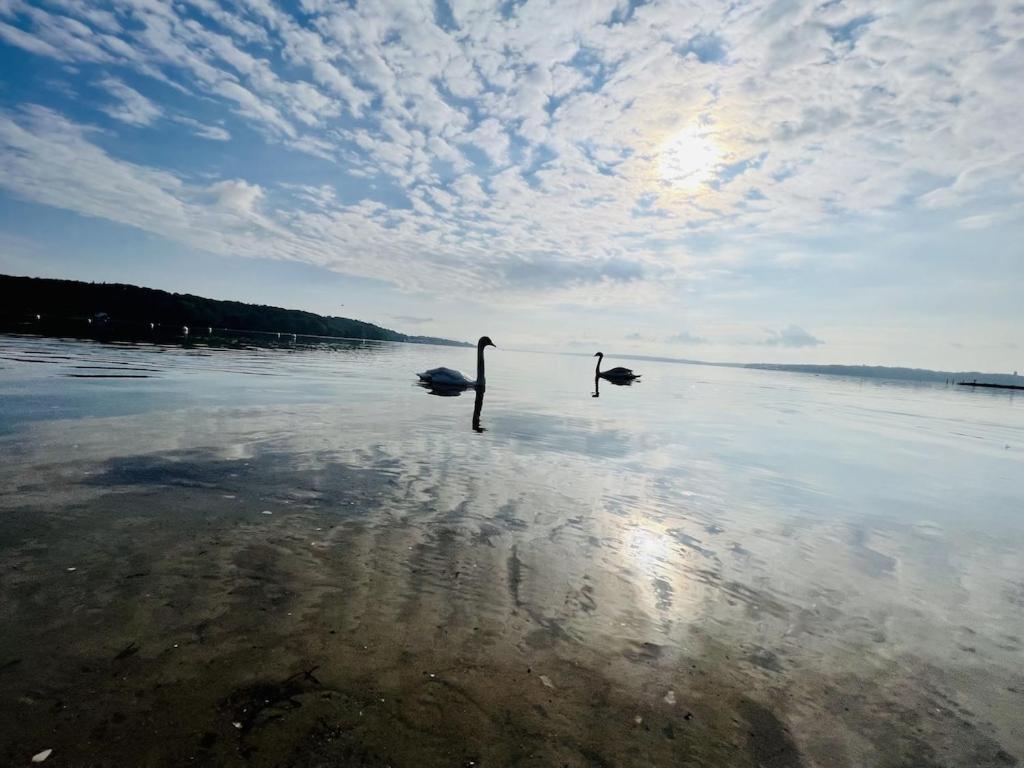 'Kapitaenslounge' Vollsanierte Fewo Mit Blick Auf Die Flensburger Foerde Harrislee Buitenkant foto